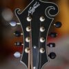 northfield f 2 mandolin (8)
