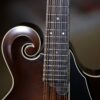 northfield f 2 mandolin (9)