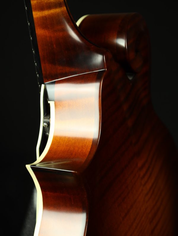northfield f 2 mandolin rear
