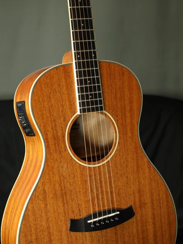 tanglewood union series parlour front acoustic electric