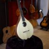 ashbury r ib irish bouzouki