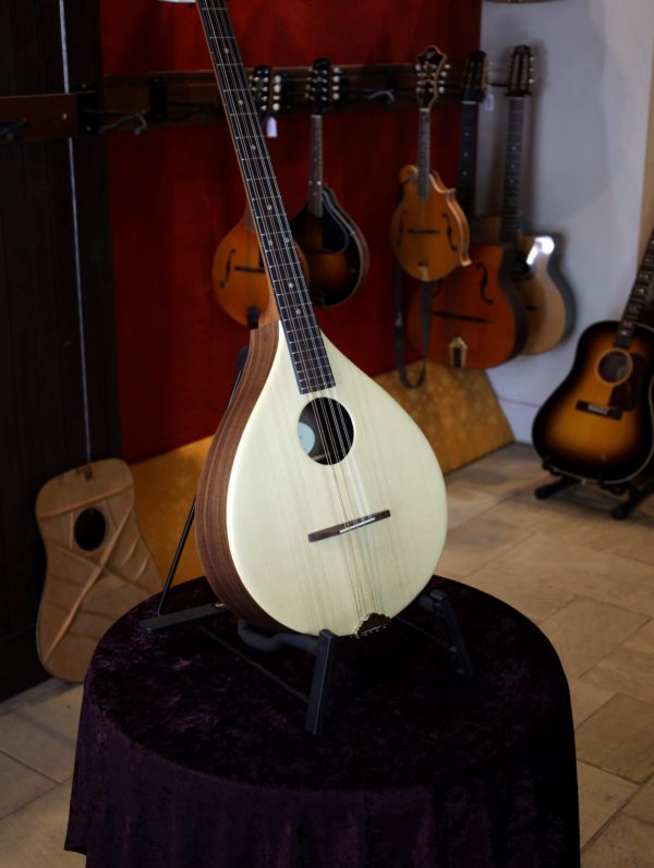 ashbury r ib irish bouzouki