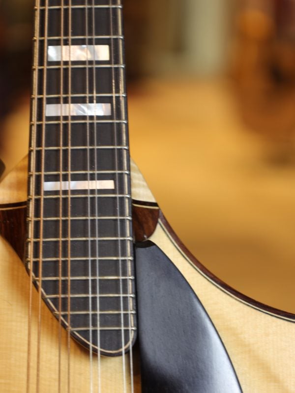 giacomel j5 mandolin fretboard