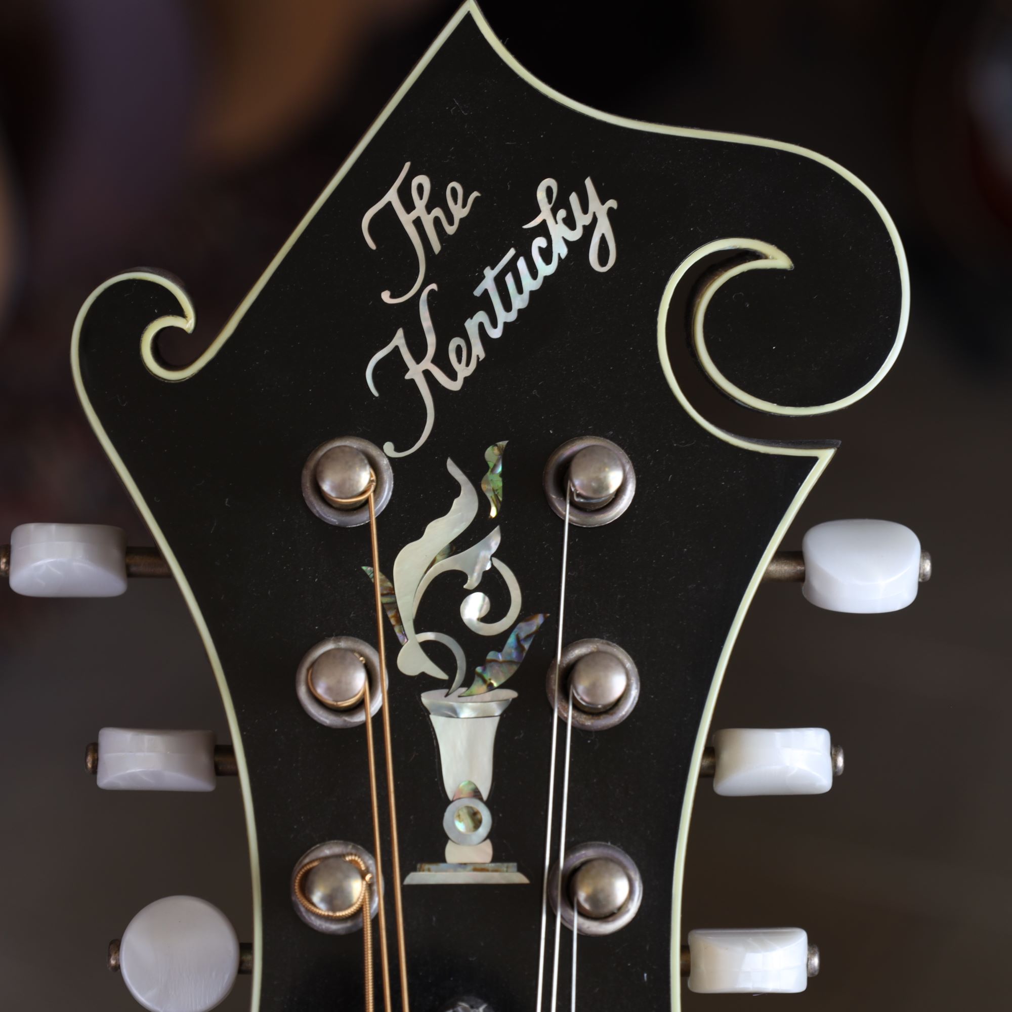 Kentucky Guitar Gallery