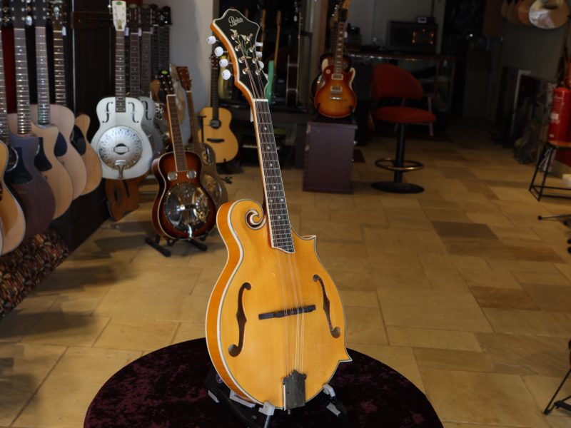 rover rm 75 mandolin