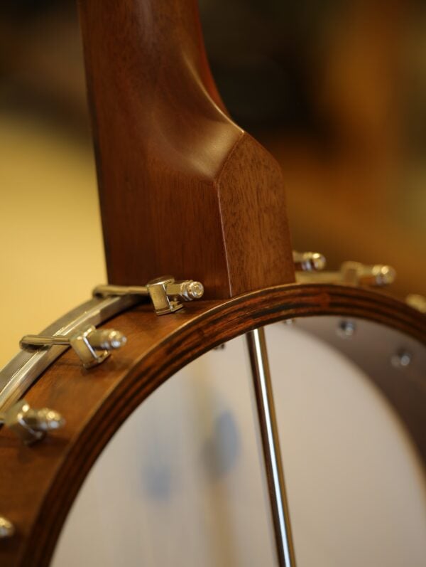 saga ss 10 banjo (4)