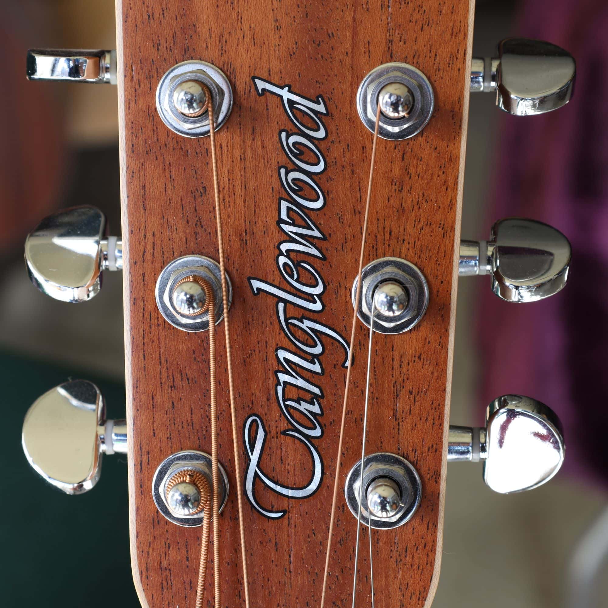 Tanglewood | Guitar Gallery