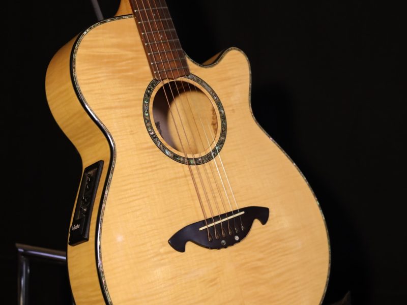 vester custom shop guitar
