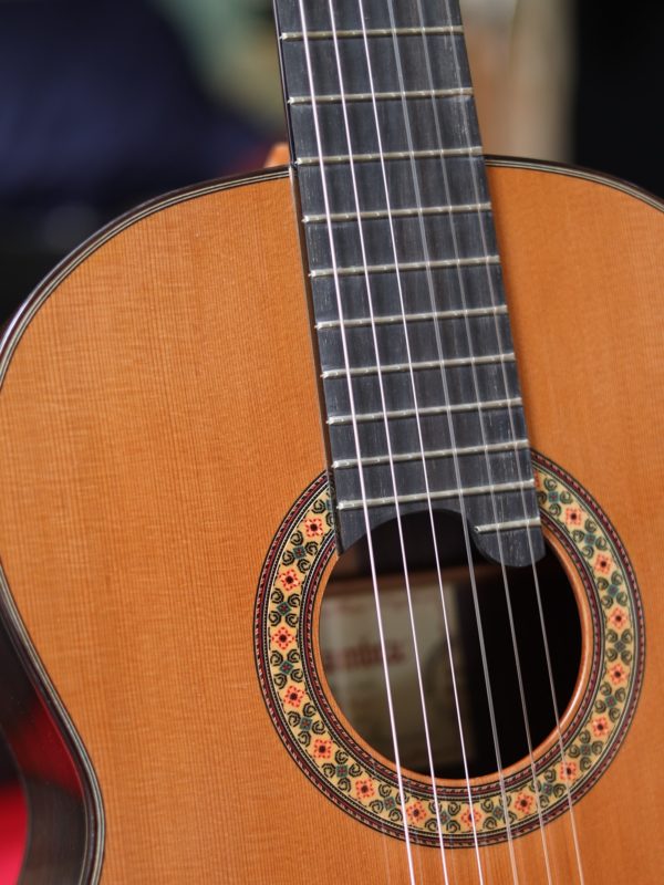 alhambra 10 premier classical guitar rosette