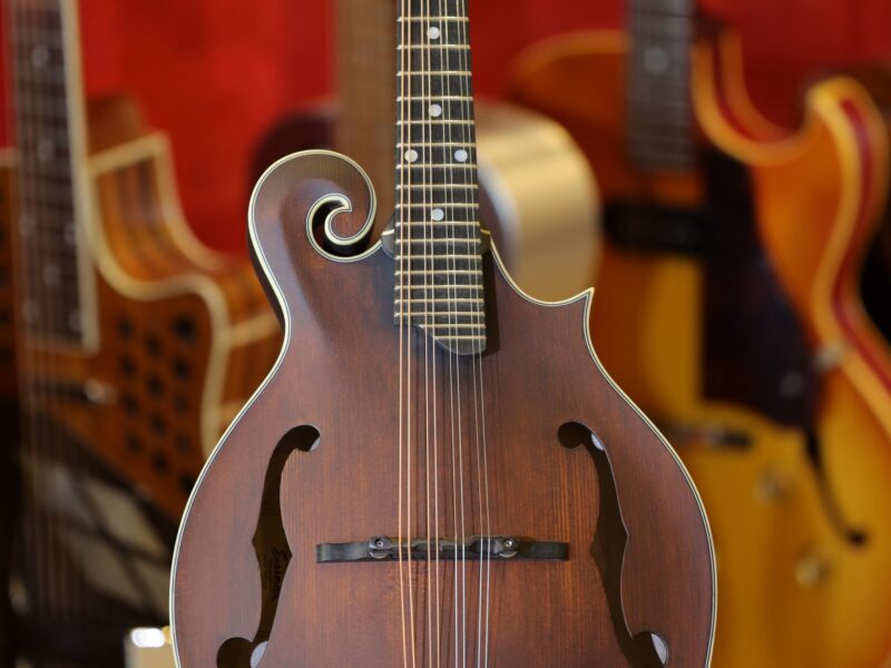 eastman md315 mandolin range