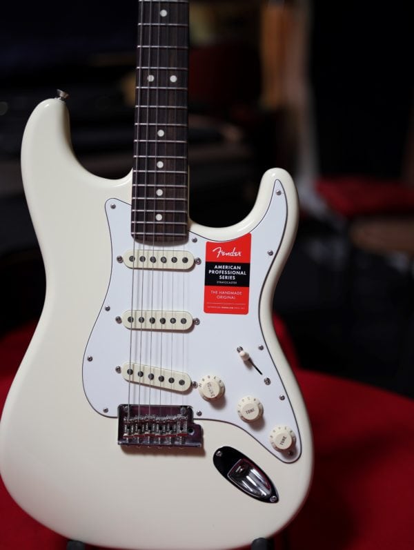 fender stratocaster professional guitar