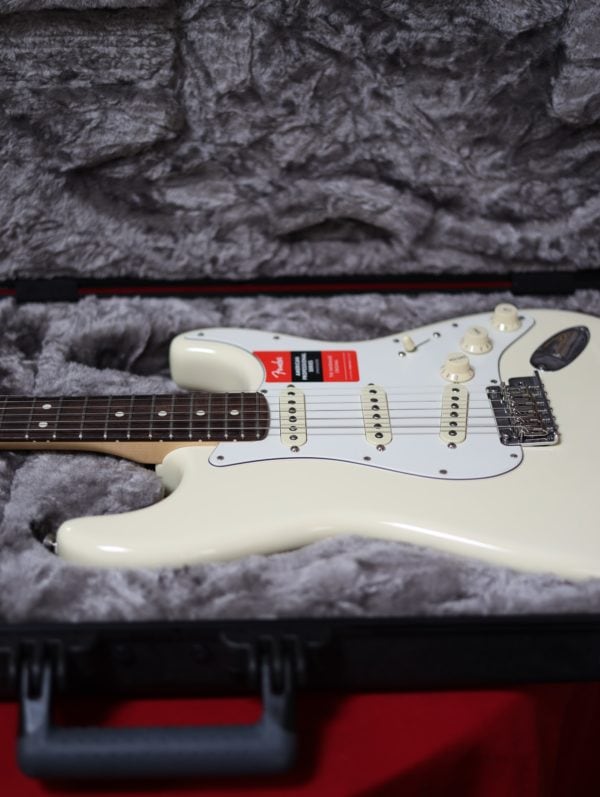 fender stratocaster professional guitar in case