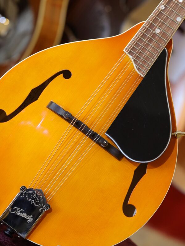 kentucky km 152 mandolin (6)