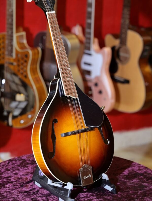 kentucky km 250 mandolin (2)