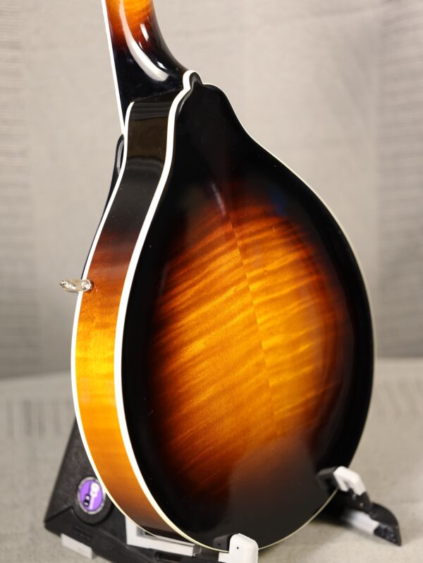 kentucky km 270 mandolin back
