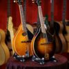 kentucky km 270 mandolin range