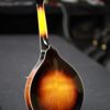 kentucky km 150 mandolin solid spruce back