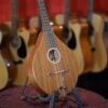 ashbury am 130 mandolin