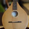 ashbury am 140 mandolin