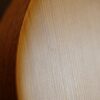 ashbury am 140 mandolin (11)