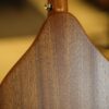 ashbury am 140 mandolin (3)