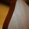 ashbury am 140 mandolin (4)