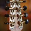 ashbury am 140 mandolin (5)