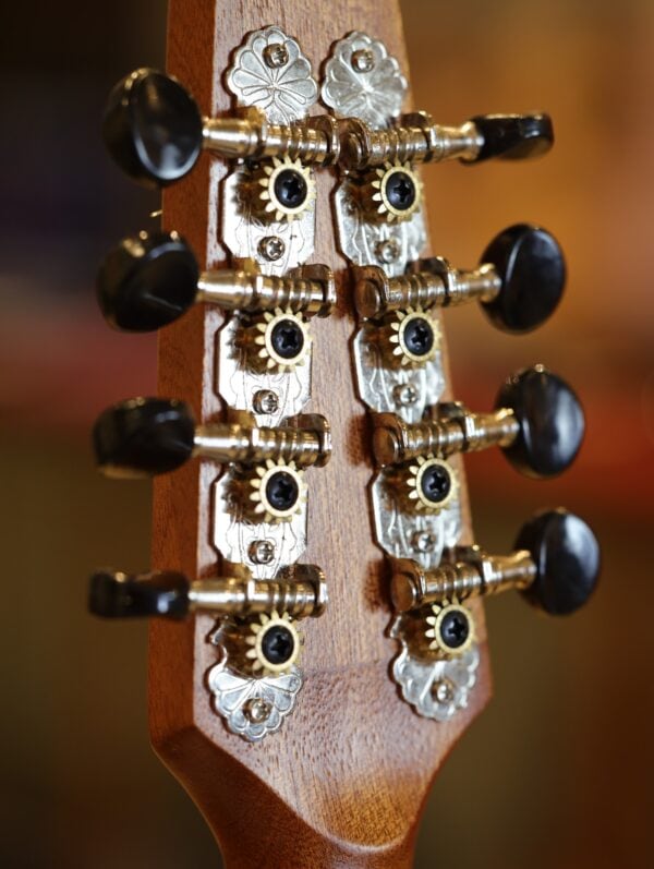 ashbury am 140 mandolin (5)