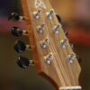 ashbury am 140 mandolin (6)