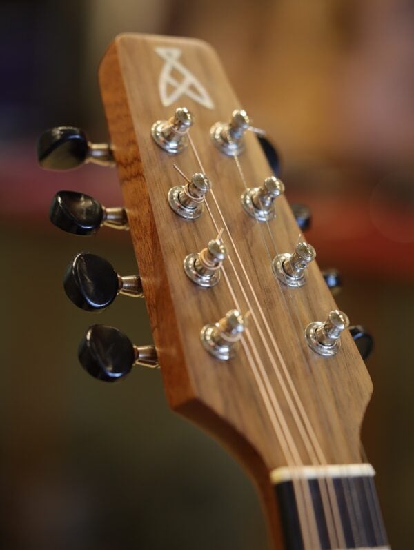 ashbury am 140 mandolin (6)