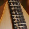 ashbury am 140 mandolin (7)