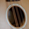ashbury am 140 mandolin (9)