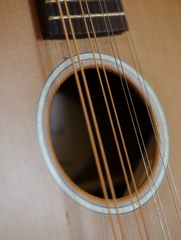 ashbury am 140 mandolin (9)