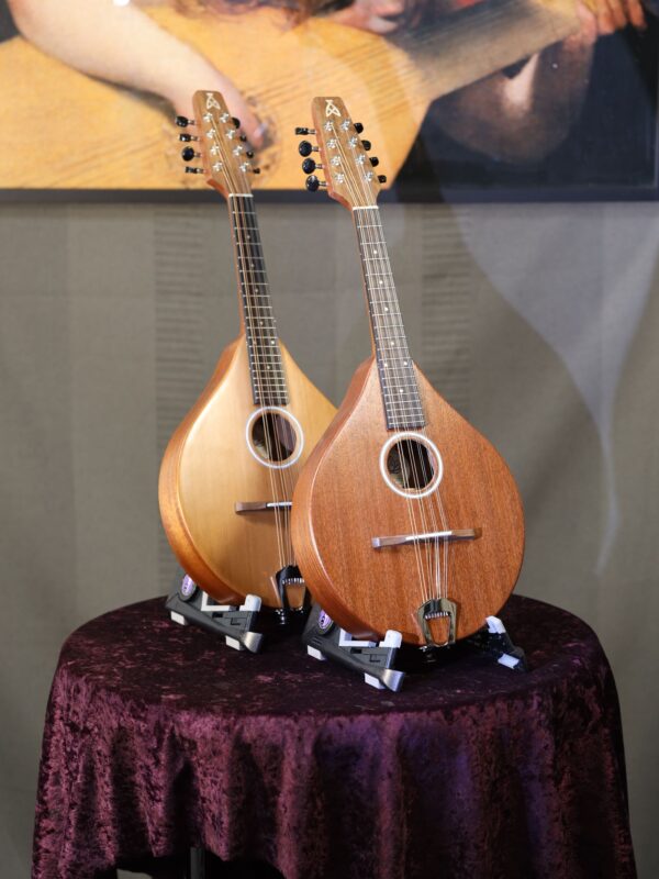 ashbury am mandolin range