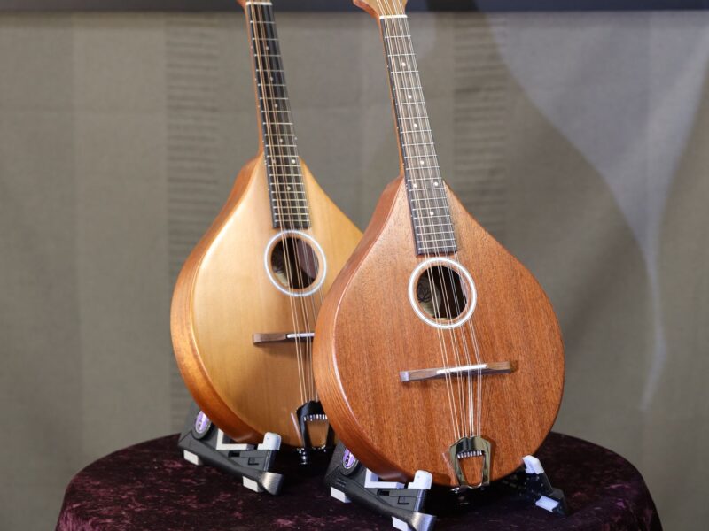 ashbury am mandolin range