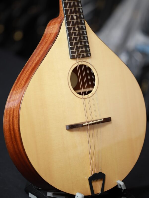 ashbury lindisfarne octave mandolin side view