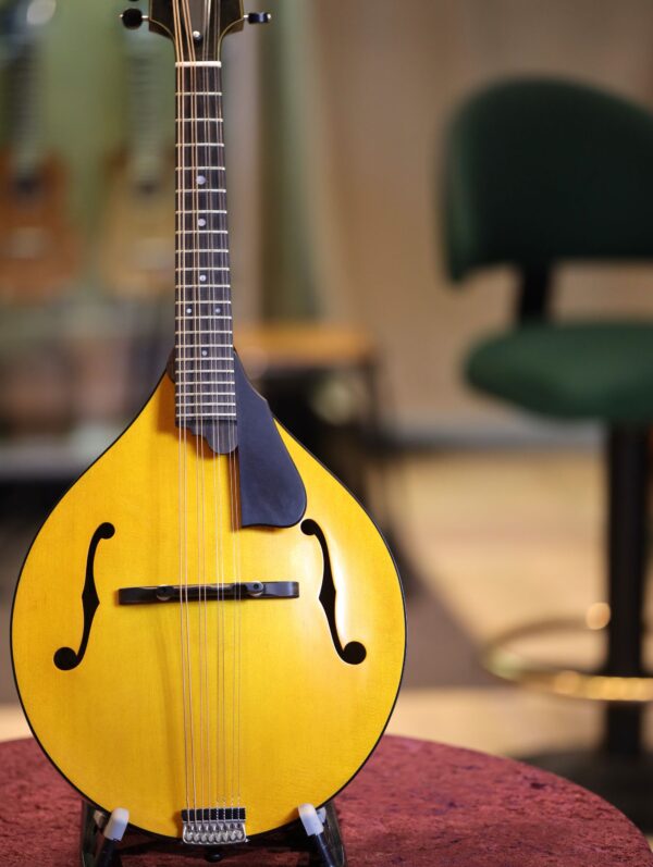 northfield model m mandolin