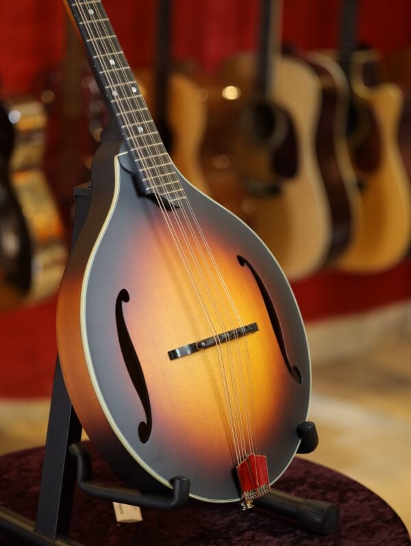 eastman mdo305e sb octave mandolin (3)