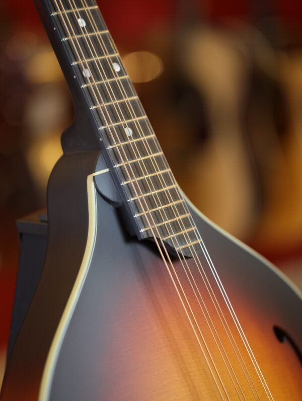 eastman mdo305e sb octave mandolin (4)