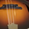 eastman mdo305e sb octave mandolin (9)