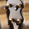 vega vvs banjo (16)