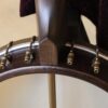 vega vvs banjo (17)