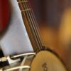 vega vvs banjo (18)