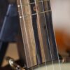 vega vvs banjo (7)