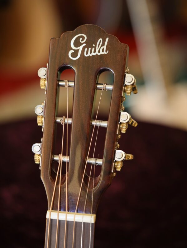 guild p 240 parlour guitar (4)
