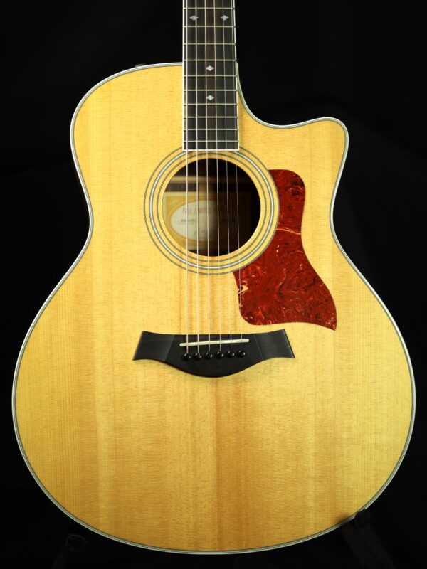 taylor 414ce fall limited edition guitar front