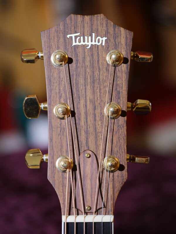 taylor 416ce fall limited edition guitar (11)