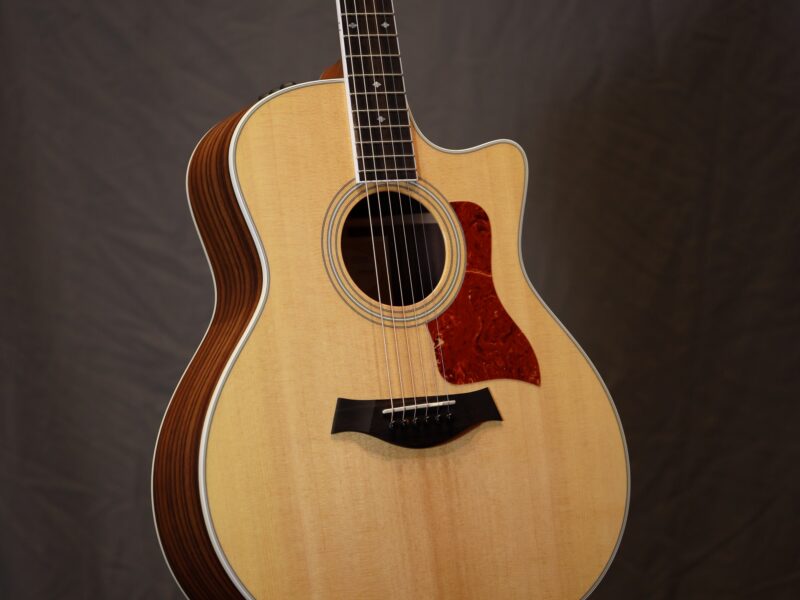 taylor 416ce fall limited edition guitar