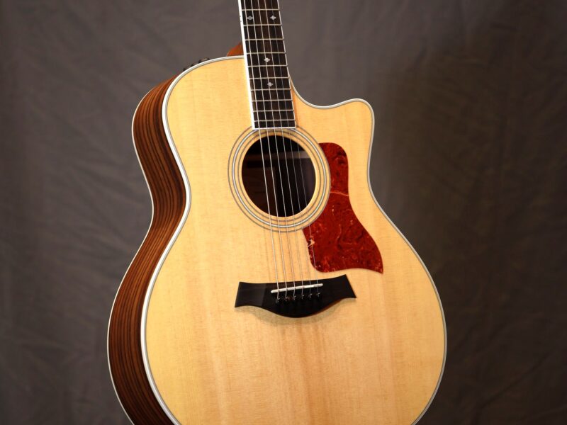 taylor 416ce fall limited edition guitar