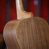 ashbury r tg tenor guitar (3)